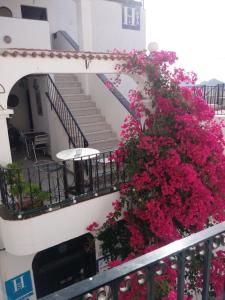 un balcón con flores rosas en una escalera en Boutique Hostal "Casa Justa", en Mojácar