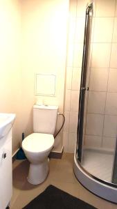 ein Bad mit einem WC und einer Dusche in der Unterkunft Apartment for You in Klaipėda