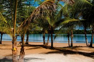 Photo de la galerie de l'établissement Overbridge River Resort, à Paramaribo