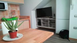 アリナガにあるApartamento la piedra viva 2 arinagaのキッチン(鉢植えのテーブル付)