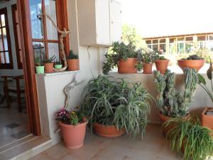 Zahrada ubytování Flisvos Rooms