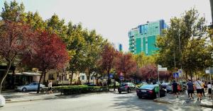 a group of people walking down a street with cars at TRAVELER'S PLACE at Tirana City Centre in Tirana