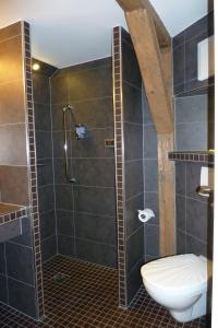 a bathroom with a shower with a toilet and a sink at Hotel Goldener Stern in Frauenstein
