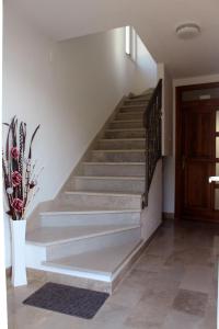Gallery image of Villa Nika in Drasnice +8 photos