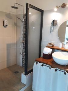 a bathroom with a shower and a sink at Villa Belza et Spa in Saint-Pierre