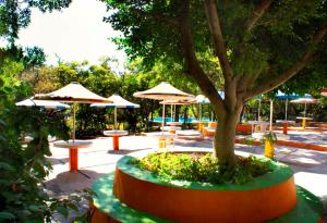 Fotografie z fotogalerie ubytování Hotel Piedras de Sol Solaris Morelos v destinaci Tlaltizapán