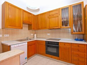 A kitchen or kitchenette at Apartment Vinkuran 1181