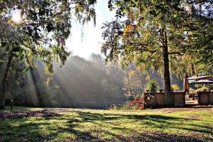 a park with the sun shining through trees and grass at Landgoed Overste Hof - Hotel & Breakfast in Landgraaf +50 photos