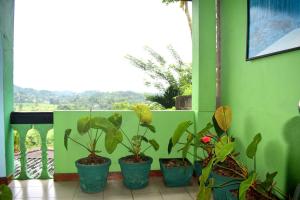Giardino di Rathna Gems Halt