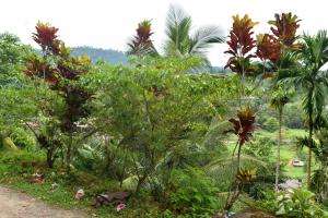Giardino di Rathna Gems Halt