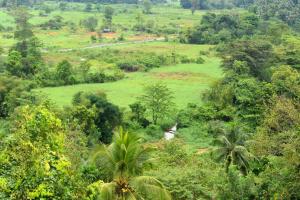 Paesaggio naturale nelle vicinanze dell'affittacamere
