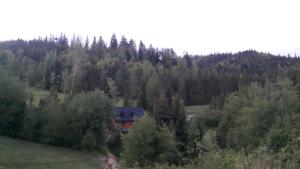 uma casa no meio de uma floresta em Bacówka w sercu gór - dom z bali w Gorcach em Łopuszna