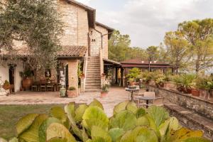 eine Außenterrasse mit Pflanzen und einem Gebäude in der Unterkunft Country House Tre Esse in Assisi
