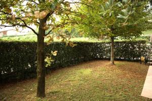 A garden outside CASA GIULIA a Borso del Grappa