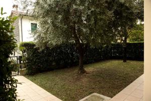 A garden outside CASA GIULIA a Borso del Grappa