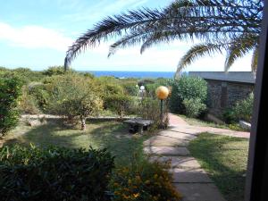 a garden with a bench and a palm tree at Le Case Punta Negra in Stintino