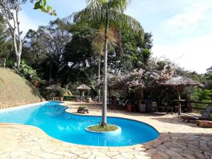 a palm tree in the middle of a swimming pool at Repousada Chalés in Conceição da Ibitipoca