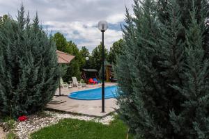 a swimming pool in a yard with trees at Luxury Radox Apartment Airport Bucharest in Otopeni