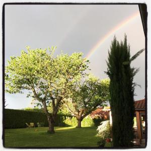 a rainbow in the sky over two trees in a yard at B&B La Cerisaie in Francheleins