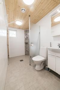 a bathroom with a toilet and a shower and a sink at Jokiniemen Matkailu Cottages in Tölvä +132 photos