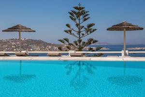 a swimming pool with umbrellas and a palm tree at Hotel Alkyon in Mikonos