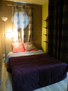 ein Schlafzimmer mit einem Bett mit einem Vorhang und einer Lampe in der Unterkunft Les mouettes in Les Herbiers