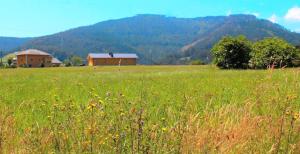 un campo de hierba con una casa en el fondo en Las Golondrinas, en Casiellas