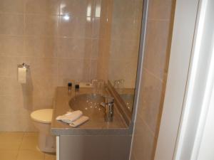un bagno con lavandino e WC di Hotel Amaryllis a Maldegem