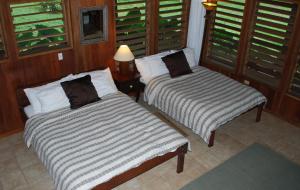 two beds in a room with wooden walls and windows at Chan Chich Lodge in Gallon Jug