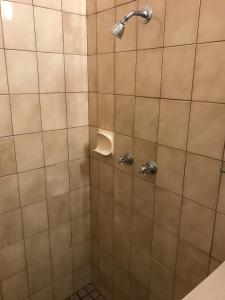 un bagno con doccia e WC al suo interno di Billabong Wangaratta a Wangaratta Altre 36 foto