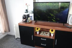 een flatscreen-tv zittend op een entertainment center met bloemen bij Devoncourt Devoncoast SeaView Apartments in Brixham