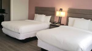 Postel nebo postele na pokoji v ubytování Econo Lodge Inn & Suites