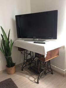 a computer monitor on a desk with a potted plant at Apartmán Náměstí Horníků in Trutnov