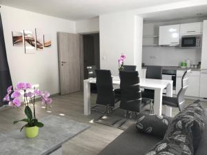 Kuchyňa alebo kuchynka v ubytovaní Panorama Apartments