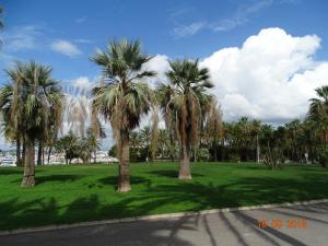a group of palm trees in a green park at Palm beach Cannes Azur in Cannes