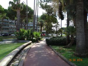 a walkway in a park with palm trees and a building at Palm beach Cannes Azur in Cannes