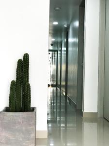 Fotografie z fotogalerie ubytování KLEINN HOTEL BOGOTÁ v destinaci Bogotá