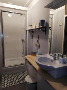 W łazience znajduje się umywalka i prysznic. w obiekcie Chambre d'hôte équestre Au petit bonheur w mieście Châteldon