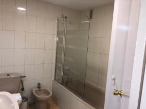 サラゴサにあるPiso Atares 2のバスルーム(ガラス張りのシャワー、トイレ付)