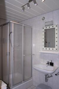 a bathroom with a shower and a sink at Landurlaub Eichinger in Thurmansbang