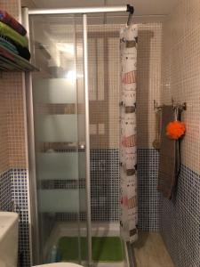 レス・カセス・ダルカナールにあるLo Chaletのバスルーム(ガラスドア付きのシャワー付)