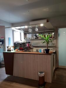 a kitchen with a counter with a plant on it at Hotel Lucerna in Castiglione della Pescaia