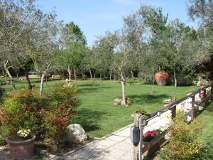 Zahrada ubytování Country Apartments