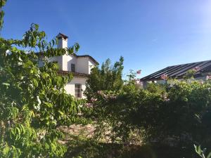 Táj Show holiday homes közelében