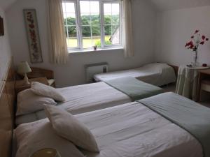 HolbetonにあるThe Grange Accommodation, Waye Farm, Ermington, Devonの窓付きの部屋 ベッド3台