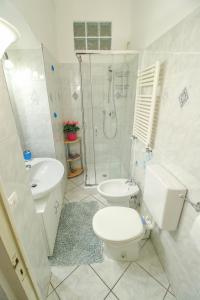 a bathroom with a toilet and a sink and a shower at Casa Bellavista in Terzorio