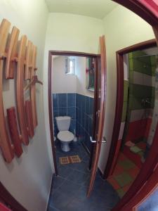 a small bathroom with a toilet and a shower at U Parku in Český Krumlov