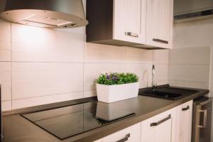 A kitchen or kitchenette at Apartment in the Heart of the City