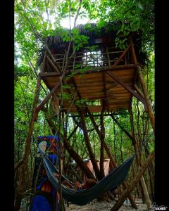 a tree house with a hammock in a forest at Lagarto Na Banana Hostel in Pipa