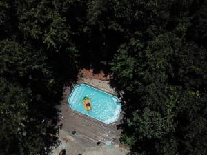 an overhead view of a swimming pool with a person in it at Lagarto Na Banana Hostel in Pipa
